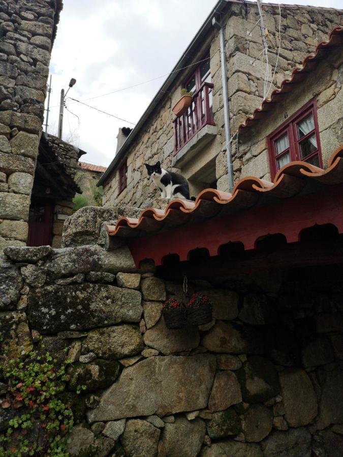 세이아 Casas Na Terra 빌라 외부 사진